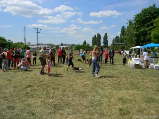 26.5.2012 - Štětský voříšek 2012 - další fotky – fotografie 26