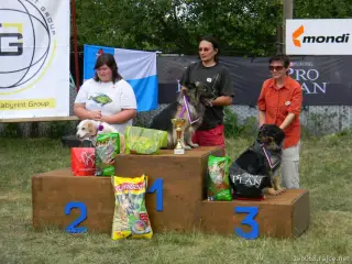 Voříšci-psi nad 40 cm: 1.BOJAR,2.MAX,3.WILIAM
