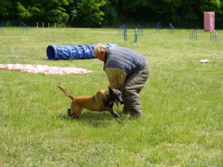 26.5.2012 - Štětský voříšek 2012 - další fotky – fotografie 30