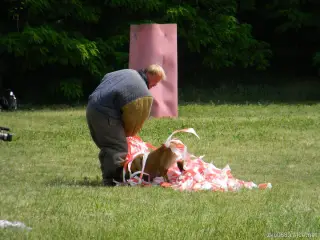 26.5.2012 - Štětský voříšek 2012 - další fotky – fotografie 31