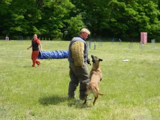 26.5.2012 - Štětský voříšek 2012 - další fotky – fotografie 33