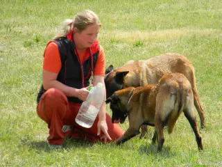 26.5.2012 - Štětský voříšek 2012 - další fotky – fotografie 36