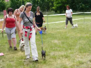 26.5.2012 - Štětský voříšek 2012 - další fotky – fotografie 42