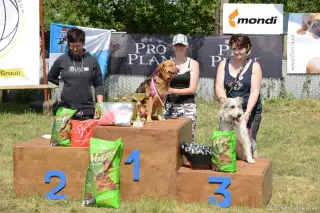 26.5.2012 - Štětský voříšek 2012 - další krásné fotky – fotografie 6