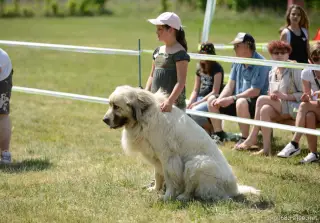 26.5.2012 - Štětský voříšek 2012 - další krásné fotky – fotografie 7
