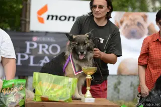 26.5.2012 - Štětský voříšek 2012 - další krásné fotky – fotografie 11