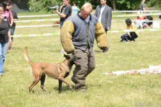 26.5.2012 - Štětský voříšek 2012 - další krásné fotky – fotografie 18