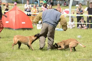 26.5.2012 - Štětský voříšek 2012 - další krásné fotky – fotografie 22