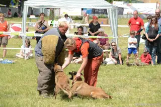 26.5.2012 - Štětský voříšek 2012 - další krásné fotky – fotografie 23