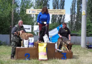 2.6.2012 - 1.obranářský závod ve Štětí - I – fotografie 49