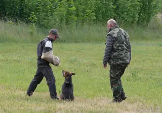 2.6.2012 - 1.obranářský závod ve Štětí - II – fotografie 14