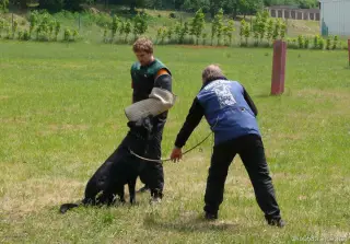 2.6.2012 - 1.obranářský závod ve Štětí - II – fotografie 33