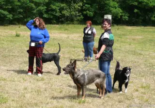 2.6.2012 - 1.obranářský závod ve Štětí - II – fotografie 70
