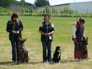 2.6.2012 - 1.obranářský závod ve Štětí - II – fotografie 75