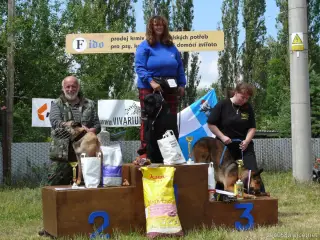 2.6.2012 - 1.obranářský závod ve Štětí - II – fotografie 85