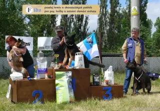 2.6.2012 - 1.obranářský závod ve Štětí - II – fotografie 89