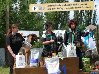 2.6.2012 - 1.obranářský závod ve Štětí - II – fotografie 92