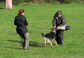 23.9.2012 - nedělní výcvik – fotografie 4