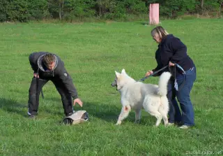 23.9.2012 - nedělní výcvik – fotografie 8