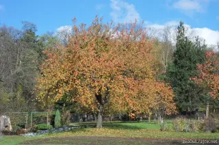 28.10.2012 - podzim a první sníh – fotografie 2
