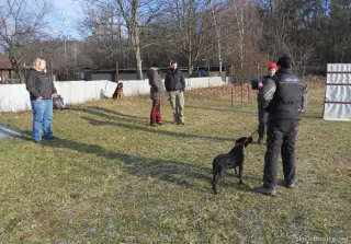 12.1.2013 - sobotní výcvik – fotografie 4