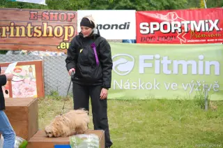 25.5.2013 - Štětský voříšek 2013 – fotografie 8