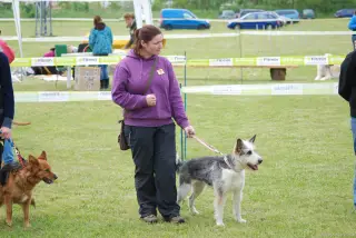 25.5.2013 - Štětský voříšek 2013 – fotografie 13