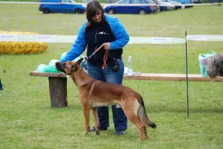 25.5.2013 - Štětský voříšek 2013 – fotografie 26