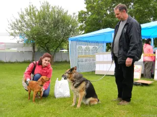25.5.2013 - Štětský voříšek 2013 – fotografie 41