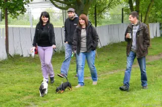 25.5.2013 - Štětský voříšek 2013 – fotografie 42
