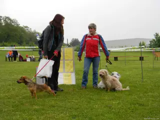 25.5.2013 - Štětský voříšek 2013 – fotografie 47
