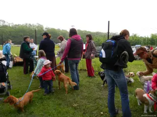 Bude nás hodně....