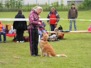 Lady z Karlových Varů
