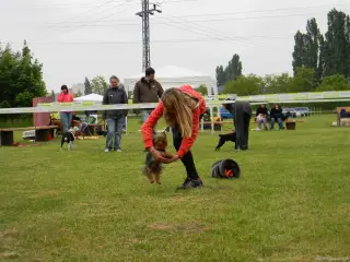 25.5.2013 - Štětský voříšek 2013 – fotografie 89