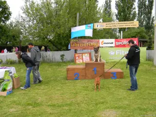 Bojar si hlídá bednu