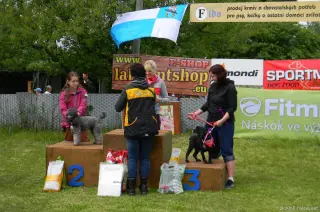 25.5.2013 - Štětský voříšek 2013 – fotografie 135