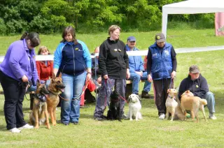 25.5.2013 - Štětský voříšek 2013 – fotografie 159