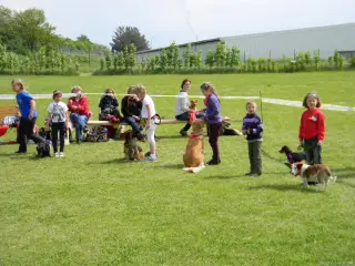 25.5.2013 - Štětský voříšek 2013 – fotografie 165