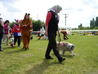 25.5.2013 - Štětský voříšek 2013 – fotografie 182