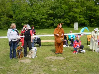 25.5.2013 - Štětský voříšek 2013 – fotografie 184