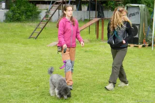 25.5.2013 - Štětský voříšek 2013 – fotografie 199