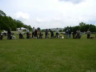 25.5.2013 - Štětský voříšek 2013 – fotografie 200