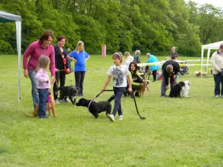 25.5.2013 - Štětský voříšek 2013 – fotografie 201