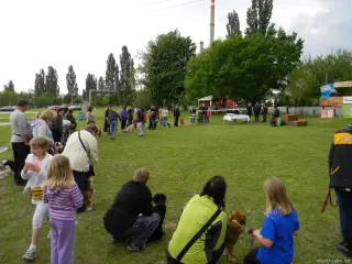25.5.2013 - Štětský voříšek 2013 – fotografie 203