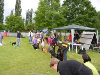 25.5.2013 - Štětský voříšek 2013 – fotografie 204