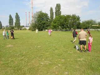 Léto 2013 - výcvik – fotografie 5