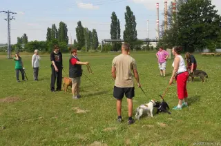 Léto 2013 - výcvik – fotografie 10