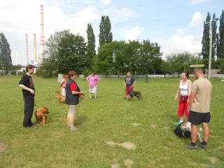 Léto 2013 - výcvik – fotografie 11