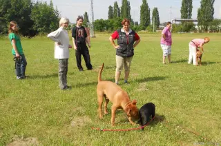 Léto 2013 - výcvik – fotografie 15
