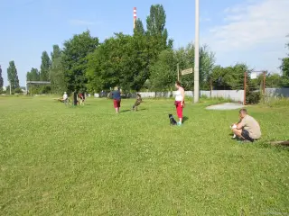 Léto 2013 - výcvik – fotografie 33